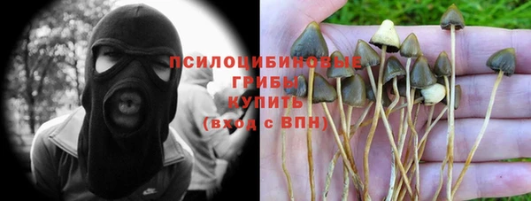 PSILOCYBIN Беломорск